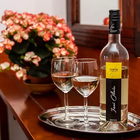 Fényes Vinorium Panzió Alojamento de Acomodação e Pequeno-almoço Sopron