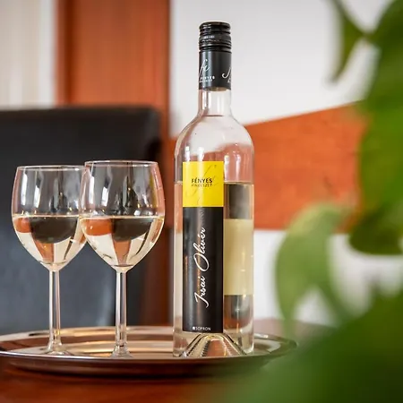 Alojamento de Acomodação e Pequeno-almoço Fényes Vinorium Panzió