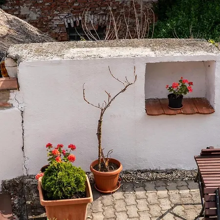 Bed and Breakfast Fenyes Vinorium Σόπρον