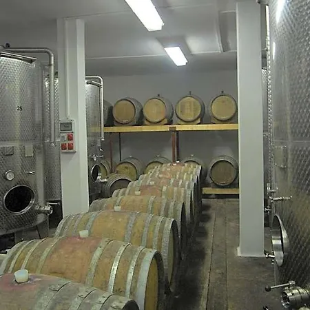 Panzió Fényes Vinorium